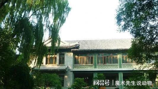 庆龄入住醇亲王府pg电子模拟器宋